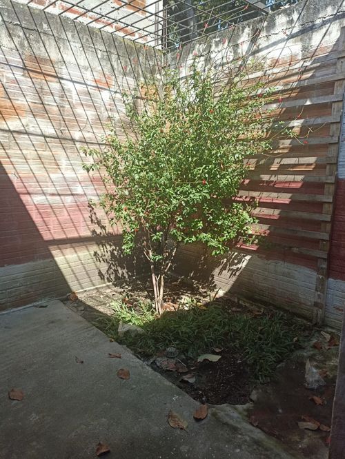Casa de 2 alcobas en venta en Villagorgona, Candelaria, 75 m² · foto 5 de 12