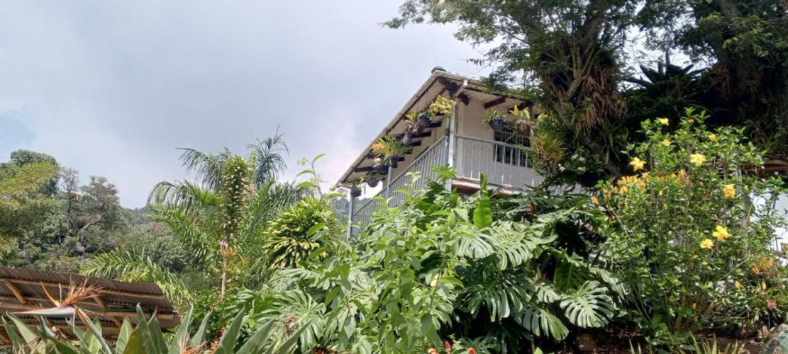 Finca en venta en Acopi, Yumbo, 614 m² · foto 7 de 24