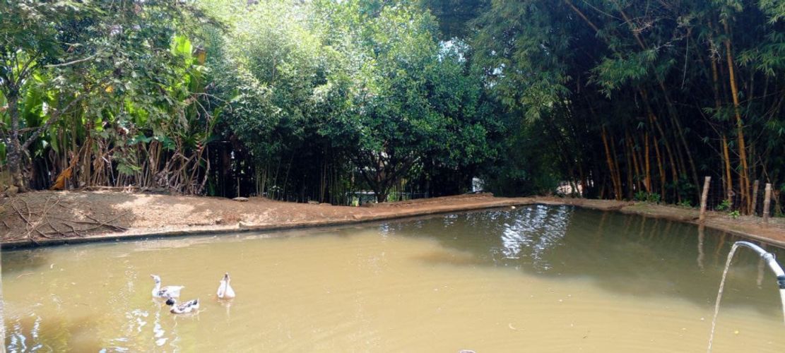 Finca en venta en Acopi, Yumbo, 614 m² · foto 10 de 24