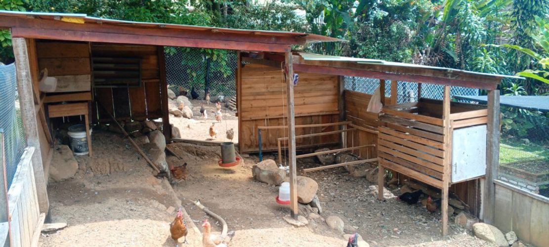 Finca en venta en Acopi, Yumbo, 614 m² · foto 20 de 24