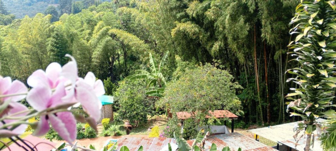 Finca en venta en Acopi, Yumbo, 614 m² · foto 23 de 24