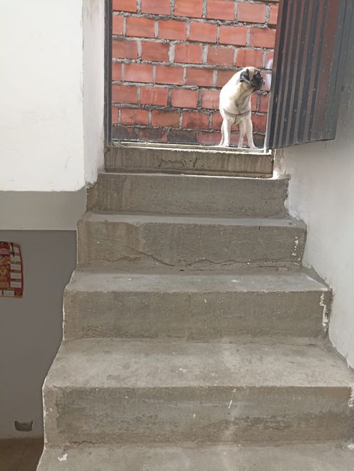 Casa de 2 alcobas en venta en Villagorgona, Candelaria, 84 m² · foto 11 de 14