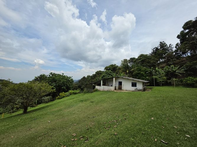 $1.000.000.000 en Rincon Dapa
