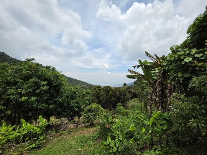 Casa de 2 alcobas en venta en Rincon Dapa, Yumbo, 125 m² · foto 6 de 10