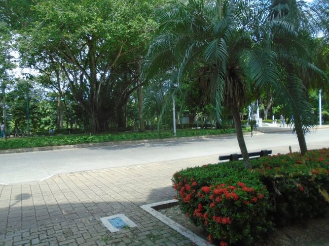 Local en arriendo en Centro, Montería, 430 m² · foto 2 de 12
