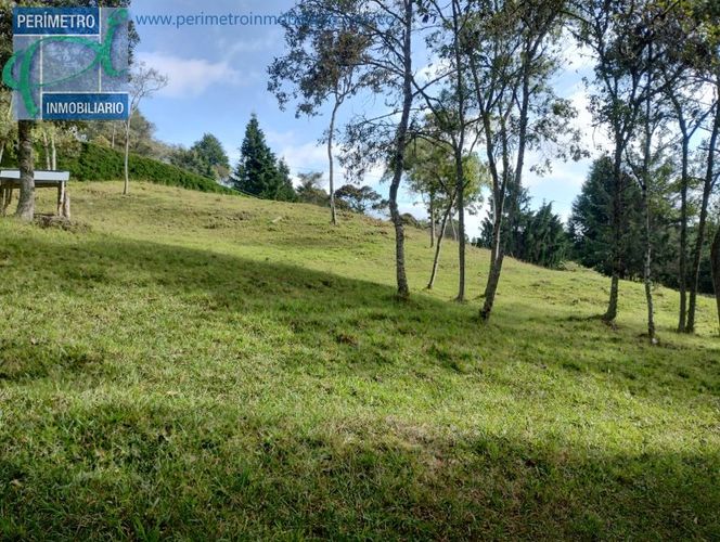Lote en venta en La Honda, Guarne, 10000 m² · foto 5 de 13