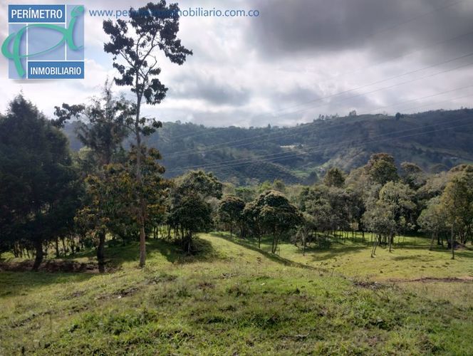Lote en venta en La Honda, Guarne, 10000 m² · foto 6 de 13