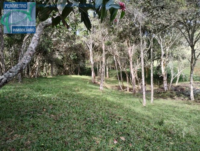 Lote en venta en La Honda, Guarne, 10000 m² · foto 7 de 13