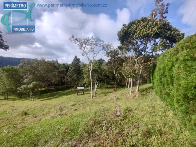 Lote en venta en La Honda, Guarne, 10000 m² · foto 8 de 13