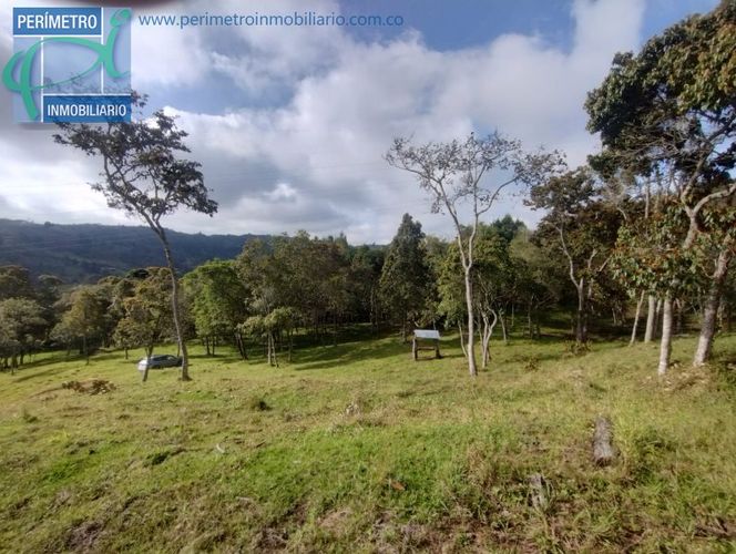 Lote en venta en La Honda, Guarne, 10000 m² · foto 9 de 13