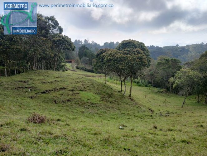 Lote en venta en La Honda, Guarne, 10000 m² · foto 10 de 13