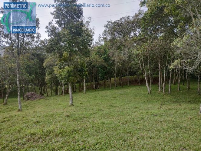 Lote en venta en La Honda, Guarne, 10000 m² · foto 11 de 13