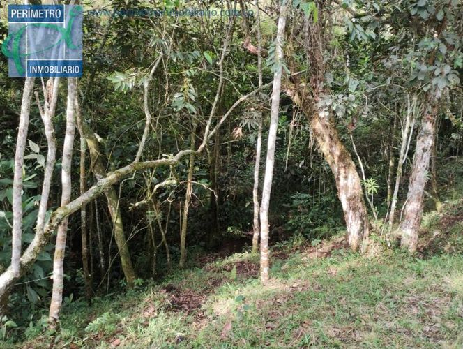 Lote en venta en La Honda, Guarne, 10000 m² · foto 12 de 13