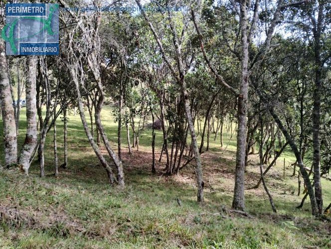 Lote en venta en La Honda, Guarne, 10000 m² · foto 13 de 13