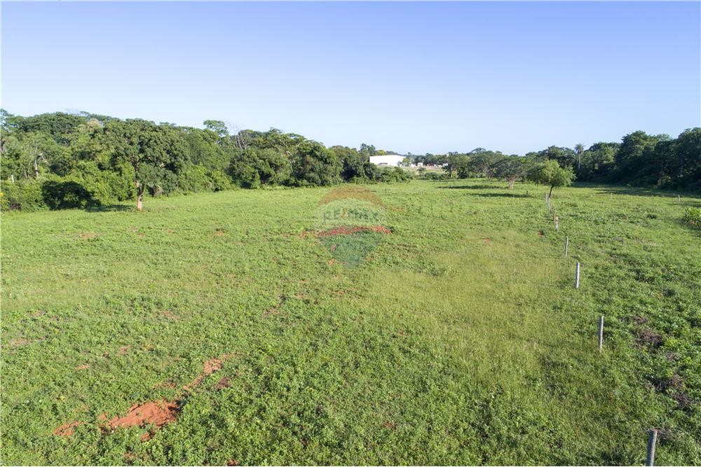 D.G. EN VENTA – TERRENO DE 3 HECTÁREAS EN LUQUE — foto 3