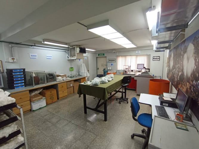 Oficina en arriendo en Cabañas, Bello, 188 m² · foto 9 de 15
