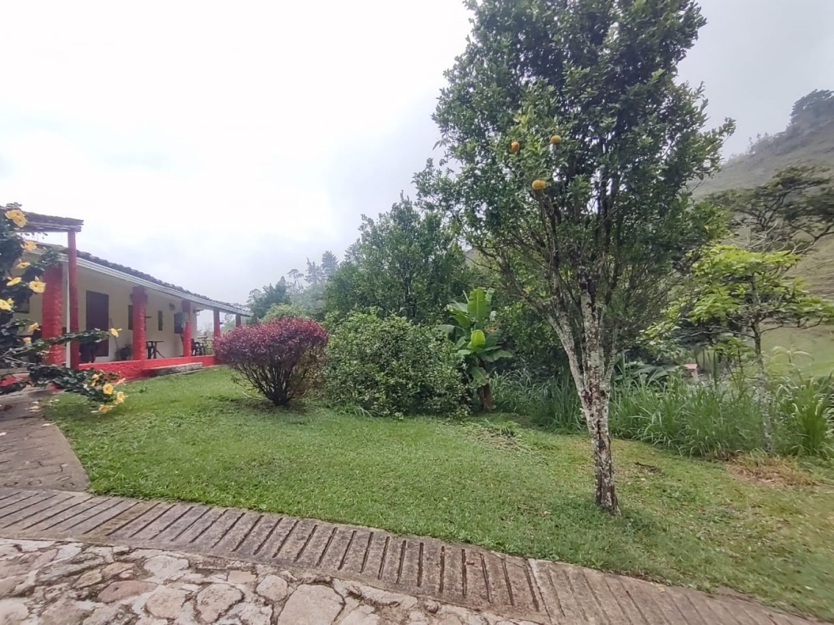 3BR Country House in Centro (160 m²) for Sale - 2
