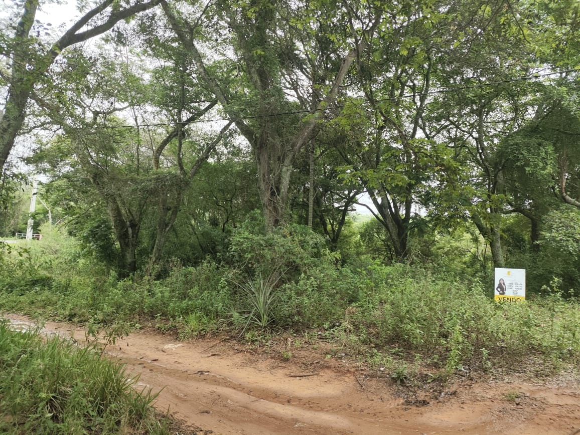 VENDO TERRENO EN LA CIUDAD DE ALTOS! — foto 2