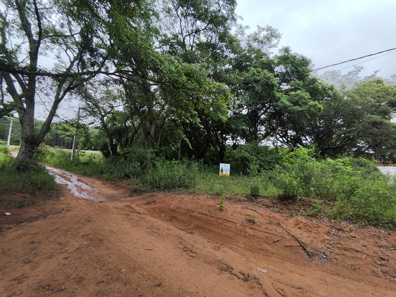 VENDO TERRENO EN LA CIUDAD DE ALTOS! — foto 3