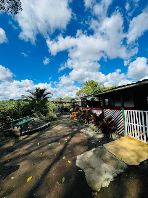 Finca en venta en Pereira, Pereira, 3660 m² · foto 2 de 19