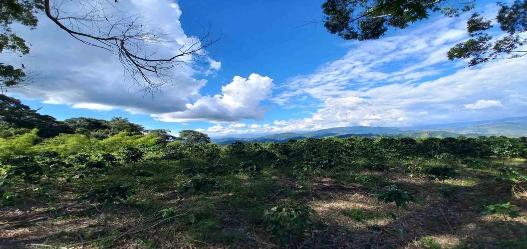 Lote en venta en Sector San Roque La Hermosa, Dosquebradas · foto 2 de 16