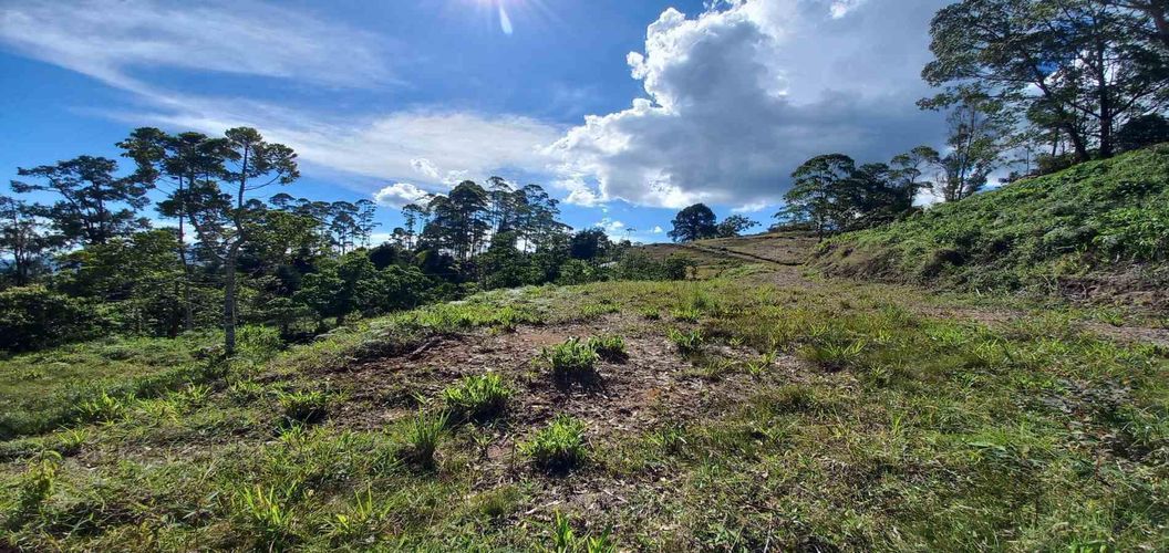 Lote en venta en Sector San Roque La Hermosa, Dosquebradas · foto 3 de 16