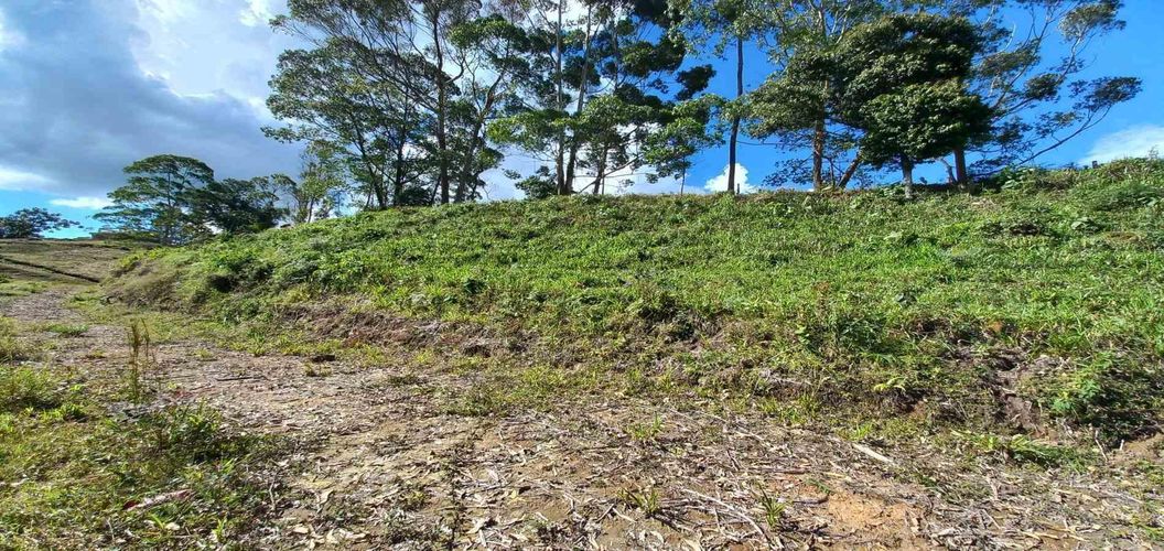 Lote en venta en Sector San Roque La Hermosa, Dosquebradas · foto 4 de 16