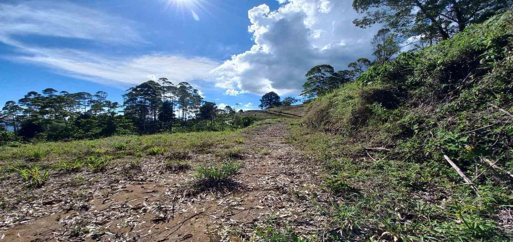 Lote en venta en Sector San Roque La Hermosa, Dosquebradas · foto 7 de 16