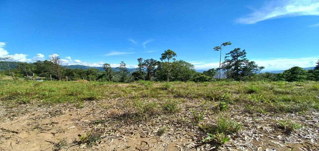 Lote en venta en Sector San Roque La Hermosa, Dosquebradas · foto 8 de 16