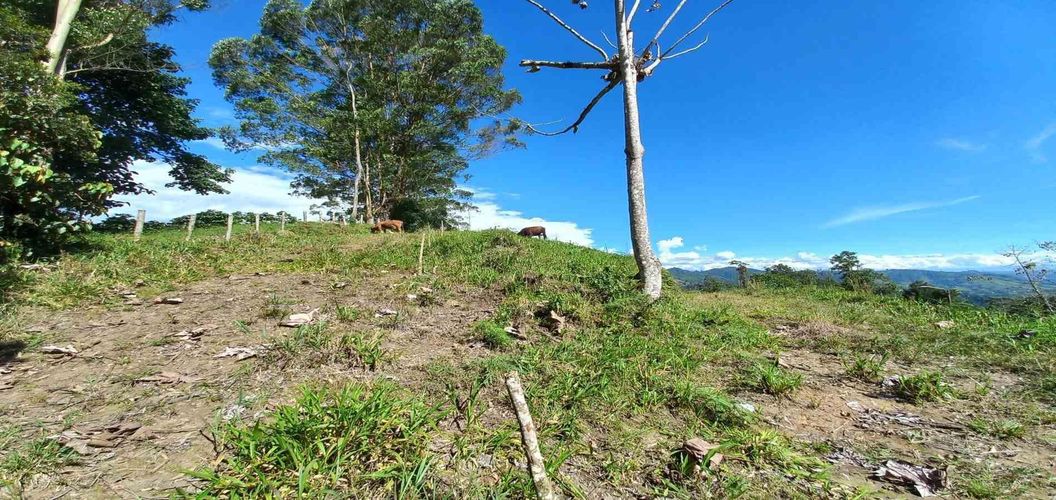 Lote en venta en Sector San Roque La Hermosa, Dosquebradas · foto 10 de 16