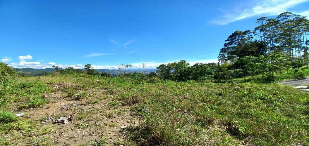 Lote en venta en Sector San Roque La Hermosa, Dosquebradas · foto 11 de 16