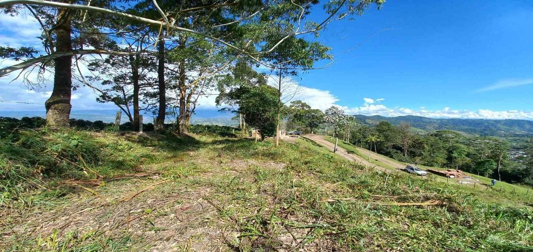Lote en venta en Sector San Roque La Hermosa, Dosquebradas · foto 15 de 16