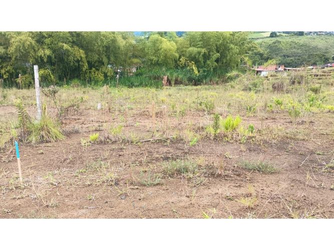Lote en venta en Romelia Alta, Dosquebradas, 198 m² · foto 3 de 6