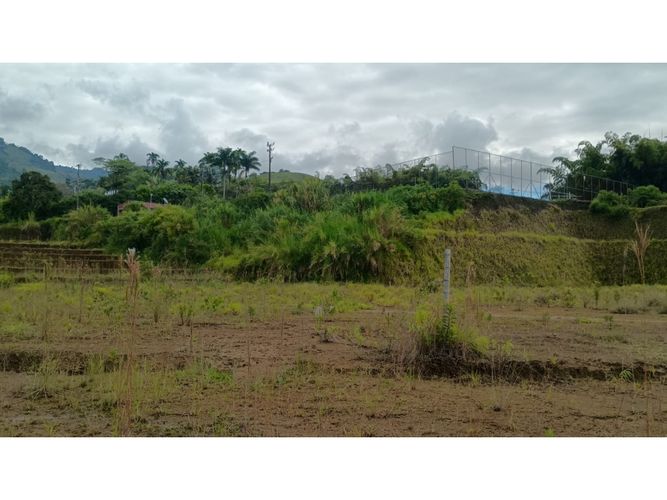 Lote en venta en Romelia Alta, Dosquebradas, 198 m² · foto 4 de 6
