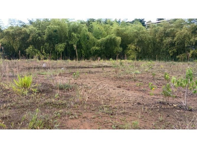Lote en venta en Romelia Alta, Dosquebradas, 198 m² · foto 5 de 6