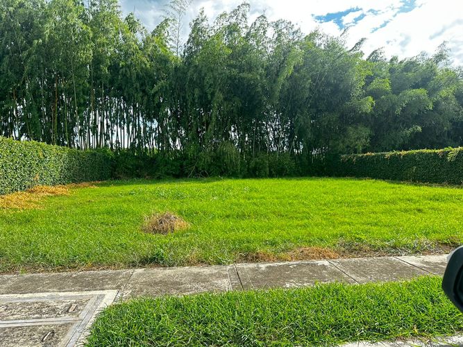 Lote en venta en Rozo, Palmira, 958 m² · foto 7 de 24
