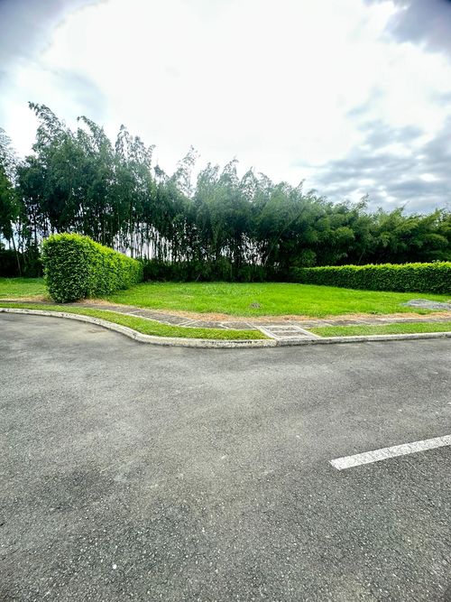 Lote en venta en Rozo, Palmira, 958 m² · foto 15 de 24