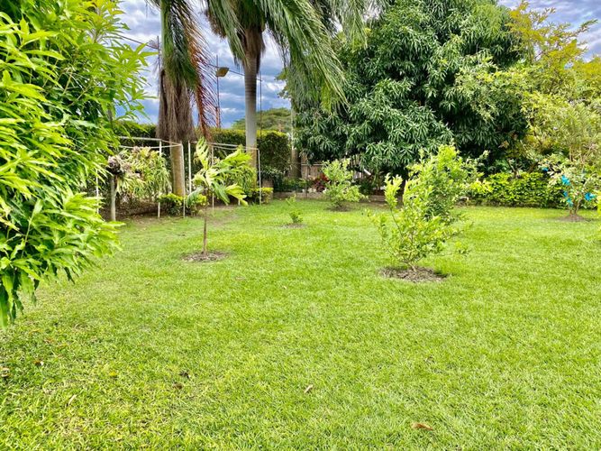 Casa de 3 alcobas en venta en La Torre, Palmira, 480 m² · foto 14 de 19