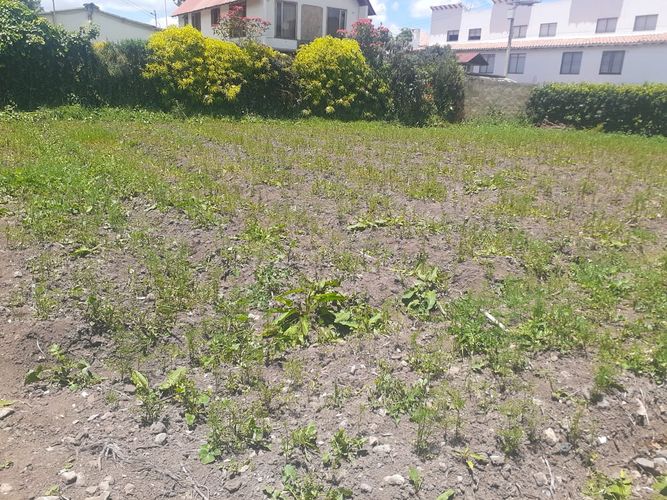 Lote en venta en El Abra, Cota, 784 m² · foto 2 de 7