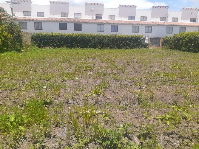 Lote en venta en El Abra, Cota, 784 m² · foto 3 de 7