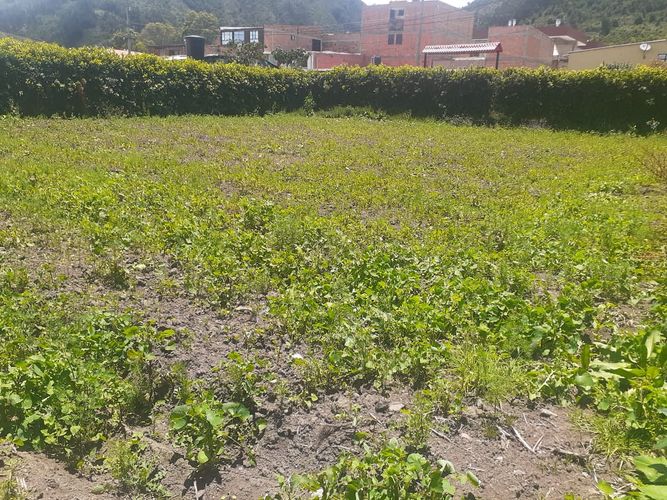 Lote en venta en El Abra, Cota, 784 m² · foto 4 de 7