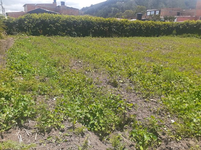Lote en venta en El Abra, Cota, 784 m² · foto 5 de 7