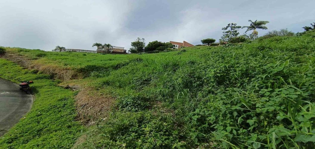 Lote en venta en San Bernardo Del Viento, Manizales · foto 2 de 24