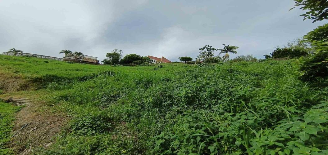 Lote en venta en San Bernardo Del Viento, Manizales · foto 3 de 24