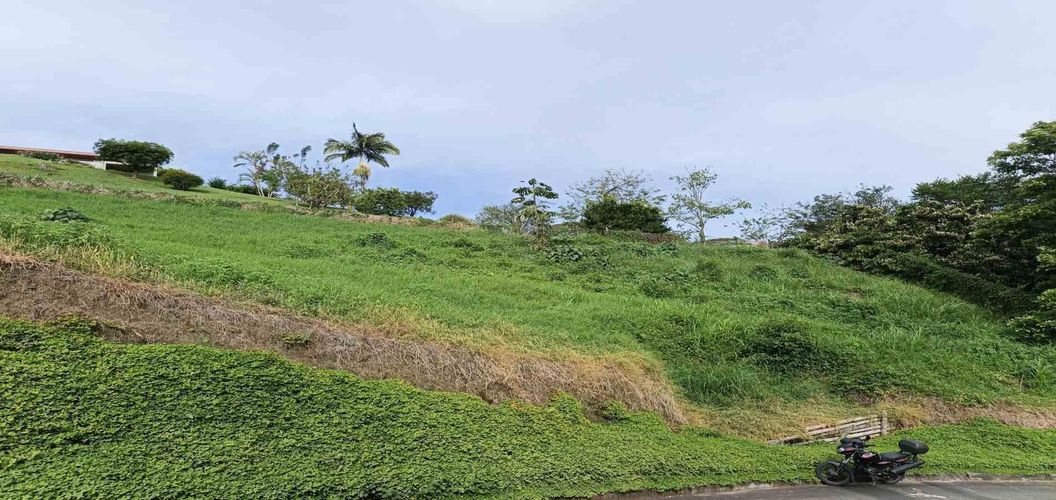 Lote en venta en San Bernardo Del Viento, Manizales · foto 7 de 24