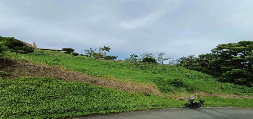 Lote en venta en San Bernardo Del Viento, Manizales · foto 8 de 24