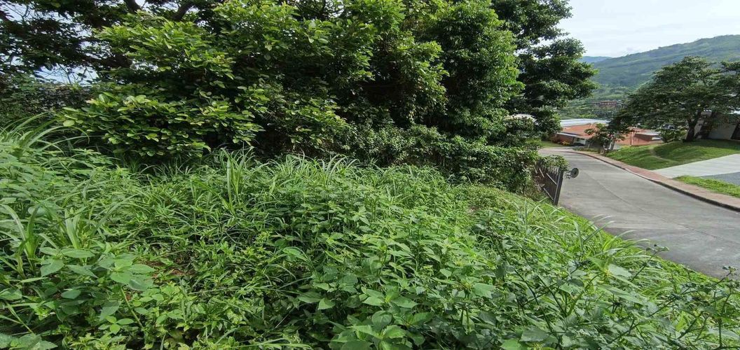 Lote en venta en San Bernardo Del Viento, Manizales · foto 9 de 24