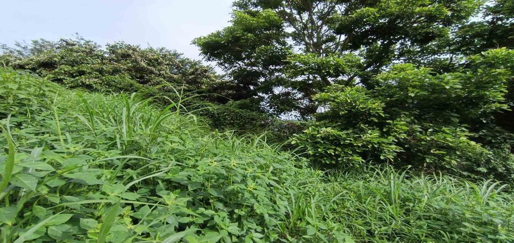 Lote en venta en San Bernardo Del Viento, Manizales · foto 10 de 24