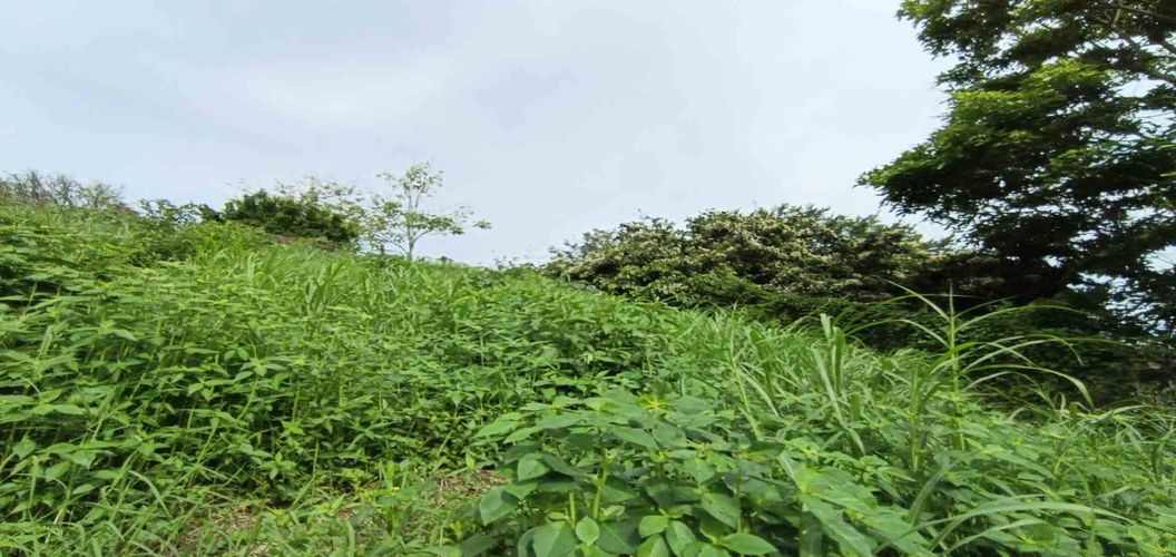 Lote en venta en San Bernardo Del Viento, Manizales · foto 11 de 24