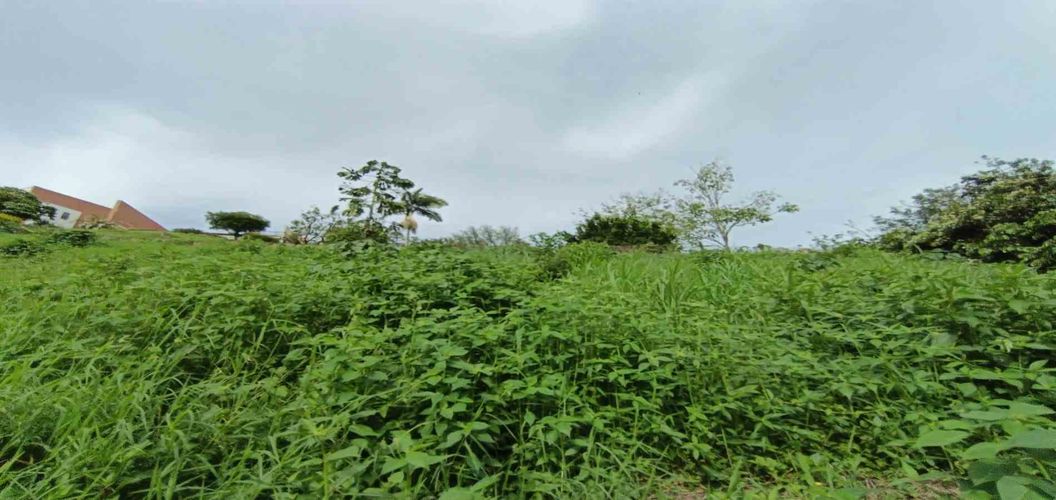 Lote en venta en San Bernardo Del Viento, Manizales · foto 12 de 24
